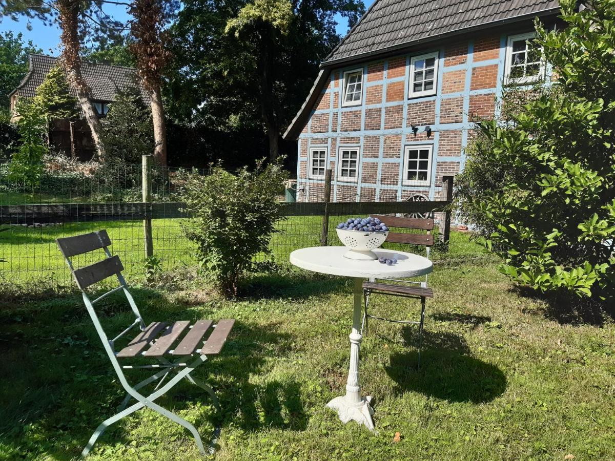 Schoenes Apartment Vor Den Toren Hamburgs - Keine Monteurwohnung Asendorf Exteriör bild